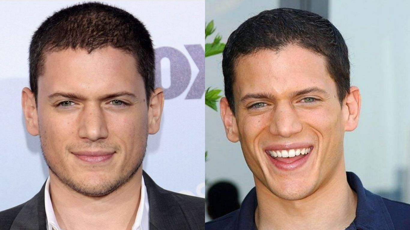 Why People Ask: Is Wentworth Miller Gay?