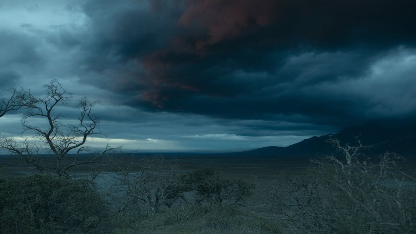 The Origin of the Term