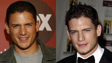 Is Wentworth Miller Is Gay? The Real Story Behind the Question