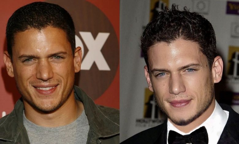Is Wentworth Miller Is Gay? The Real Story Behind the Question