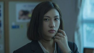 ShemaleJapan: Meaning, Context, and Cultural Understanding