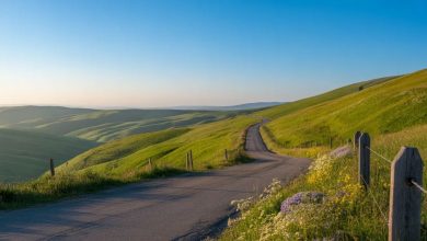 Hill Road: A Complete Guide to Its History, Culture, and Everyday Charm