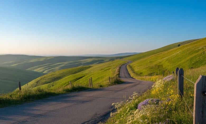 Hill Road: A Complete Guide to Its History, Culture, and Everyday Charm