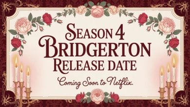 Season 4 Bridgerton Release Date: What Fans Can Expect Next