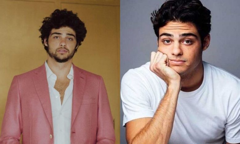 Noah Centineo Height: How Tall Is the Hollywood Heartthrob Really?