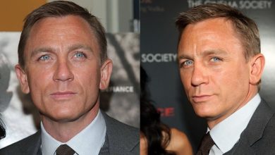 Was Daniel Craig Doing Stunts in James Bond Movies? The Real Truth