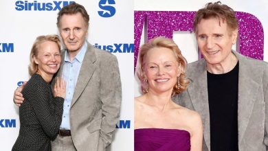 Is Pamela Anderson Dating Liam Neeson? What’s Really Going On