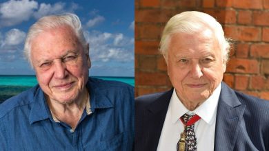 How Old Is David David Attenborough? A Deep Dive Into the Legend’s Age