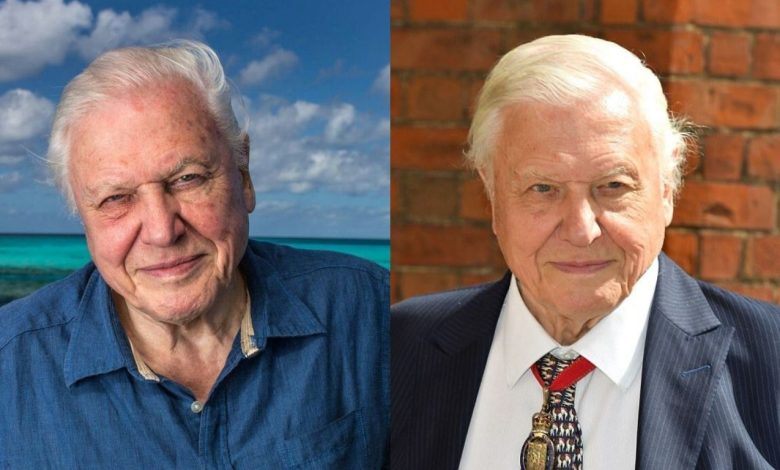 How Old Is David David Attenborough? A Deep Dive Into the Legend’s Age
