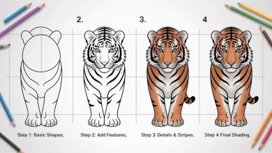 How to Draw a Tiger: A Simple Step-by-Step Guide Anyone Can Follow