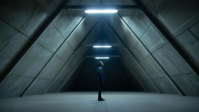 What Is the Syndrome in Silo? A Simple Guide to Understanding the Hidden Barrier