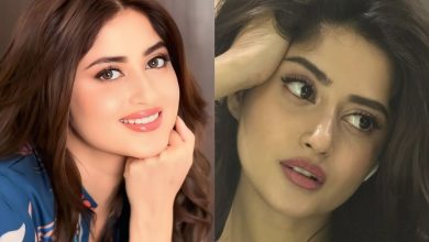 Sajal Malik Viral Video: What Happened and Why Everyone Is Talking About It