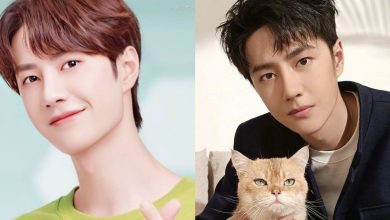 Wang Yibo Audi Ad: Why Everyone Is Talking About It