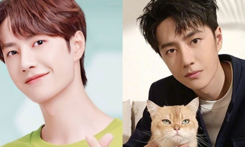 Wang Yibo Audi Ad: Why Everyone Is Talking About It