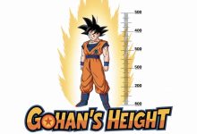 How Tall Is Gohan? A Complete Guide to His Height in Every Saga