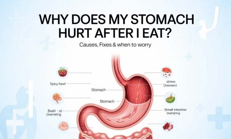 Why Does My Stomach Hurt After I Eat? Causes, Fixes & When to Worry