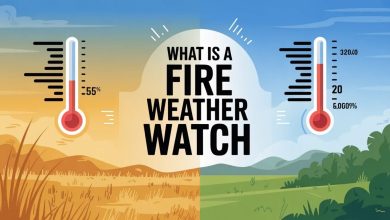 What Is a Fire Weather Watch? Understanding the Warning and Why It Matters