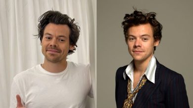 Is Harry Styles Is Gay? Understanding the Rumors, Identity, and Public Conversations