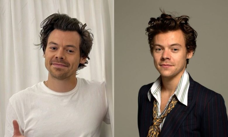 Is Harry Styles Is Gay? Understanding the Rumors, Identity, and Public Conversations