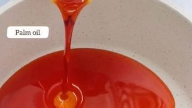 Is Palm Oil a Seed Oil? A Simple Guide to Understanding Palm Oil