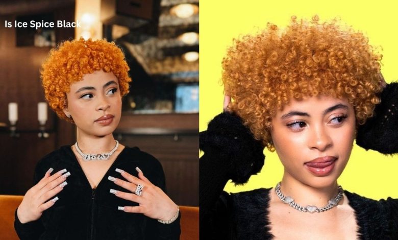Is Ice Spice Black? Exploring Her Identity, Background, and Culture